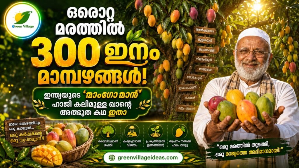 img 20260604 wa0005